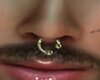 NEW GOLD SEPTUM PIERCING