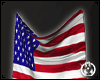 USA FLAG WALL