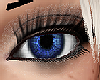 Eyes Cobalt