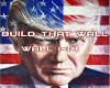 {WALL} Build That Wall
