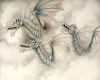 cloud dragons