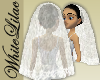 WL~ Lace Wedding Veil