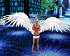 babbs angel white wing