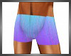 SL Blue&Purple Shorts