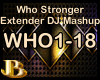 Who Extended DJ Mashup