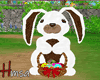 !H! Easter Bunny +Egg