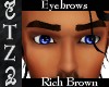 TZ Eyebrows RichBrown
