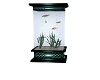 ballroom fish tank