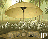 Summer Couple Umbrella