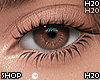 Zabine Honey F/M