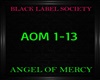 BLS - Angel of Mercy