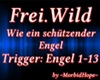 Frei.Wild - Engel