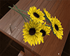 fresh picked sunflowers