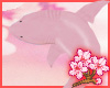Baby Pink shark