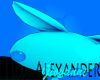 [AG] Blue Bunny