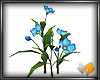 (ED1)Blue flowers