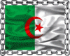 VB = NINA : Algeria R