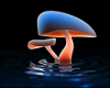 Mushroom Color Splash