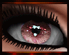 [Key]Katia Eyes ROSE