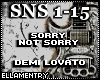 Sorry Not Sorry-D Lovato