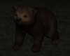 Brown Bear Animated FV