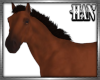 [H]Horse Brown ►Furn