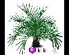 (KK) Large Plant 2