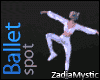 *ZM Ballet 1 - 3 Spots