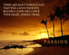Pursue Passion