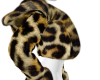 tio 2k add on
