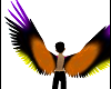 Male Neon Wings