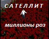 milliony_roz