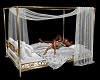 Lovers Brass Canopy Bed