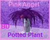 [BD] PAF Potted Plant