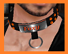 Foxy Collar (Special)