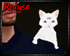 RL/ Cat White Pet