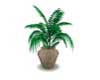 POTTED PLANT 6