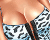 Sofia Set V3