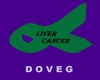 Liver Cancer Ribbon