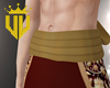 VV | Enrique Belt