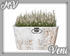 *MV* Farmhouse Planter 2