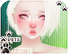 [Pets] Quin | Saydie