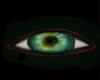 TK-Green Eyes