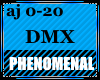 Phenomenal (DMX)