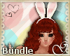 G- Easter Bunny Bundle