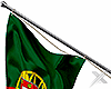 tz ❌ Flag Portugal