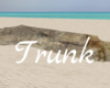 *Trunk