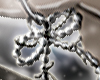 Pearl Ribbon