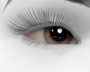 QWN Eye 1