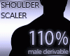 ♣ Scaler 110%